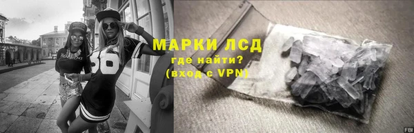крисы Мегион
