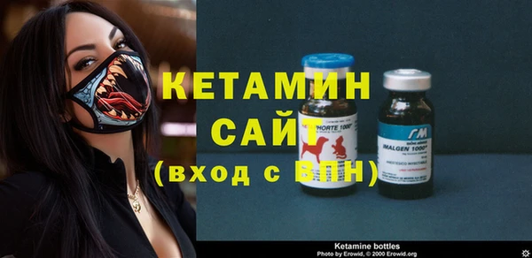 крисы Мегион