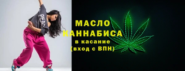 крисы Мегион