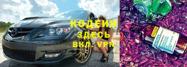 крисы Мегион