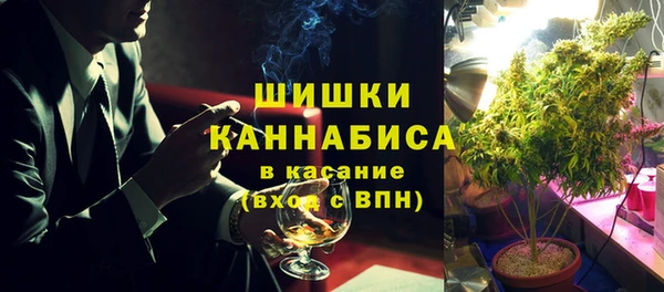 крисы Мегион