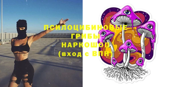 крисы Мегион